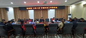 桐柏县程湾镇：扎实推进平安建设 加快构建高效联动的县域社会治理体系