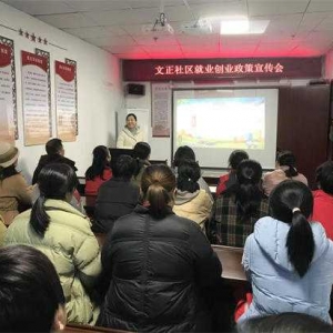 南阳市宛城区新华街道文正社区开展就业创业政策宣传