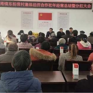 新野县施庵镇：“三变”改革结硕果 村民增收喜开颜