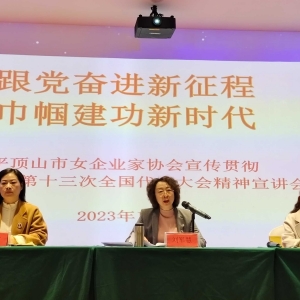 平顶山市女企业家协会举办中国妇女十三大精神宣讲会