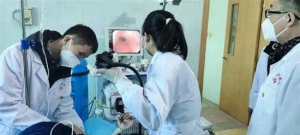 淅川县荆紫关镇卫生院：    “四”积极，“胃”你健康