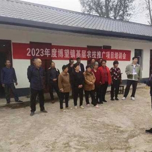 方城县博望镇： 科技帮扶解难题