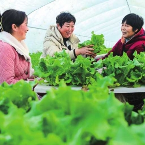 寒潮来袭 调配货源保供应