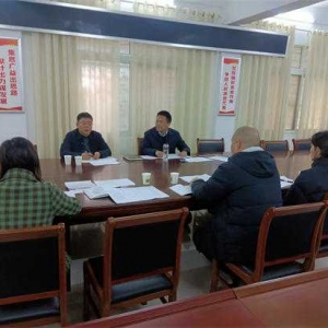 西峡县五里桥镇：召开镇四季度镇域经济运行分析会