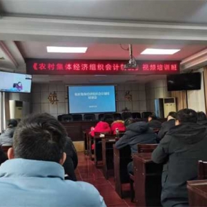镇平县杨营镇财政所：积极参与培训  做好新旧村集体经济会计制度衔接工作