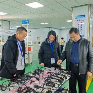 桐柏县吴城镇:人大代表凝心聚力 助力企业健康发展