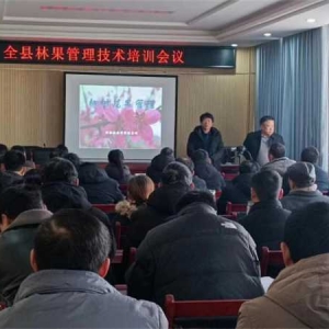 唐河县林业局：党建引领林业发展  科技助力果农增产