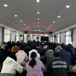 桐柏县毛集镇：健全林长制管理体系 筑牢护林防火底线