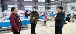 唐河县马振抚镇：发挥政协优势作用 助力优化营商环境