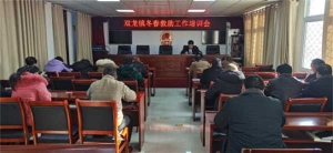 西峡县双龙镇：扎实做好冬春救助工作