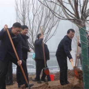 唐河县高位启动2024年义务植树活动
