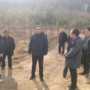 桐柏县月河镇：“农闲”变“冬忙” 全力推进高标准农田建设