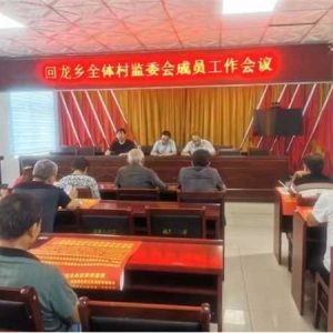 桐柏县回龙乡：建立沟通衔接“四项机制”  着力提升巡察整改工作质效