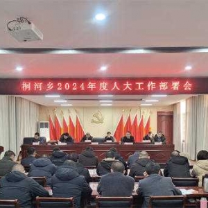 唐河县桐河乡：召开专题会议研究部署2024年人大工作