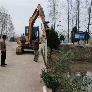 桐柏县吴城镇:履职尽责办实事 助力乡村“发展路”