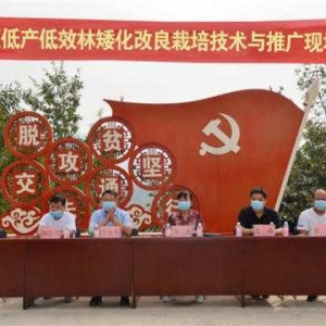 南召县组织召开辛夷标准化生产及矮化改良栽培技术示范与推广现场观摩暨培训会