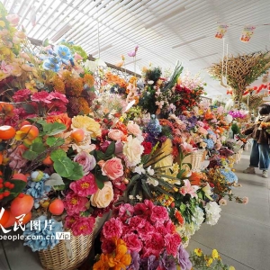 2024北京迎春年宵花展举行
