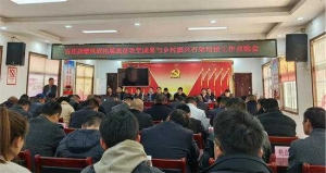 方城县古庄镇：巩固乡村振兴成果 助力五星支部建设