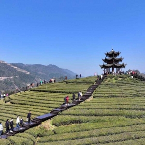 多彩活动 共度新春