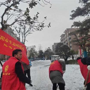 南阳市生态环境局宛城分局开展“党员志愿者清雪除冰”活动