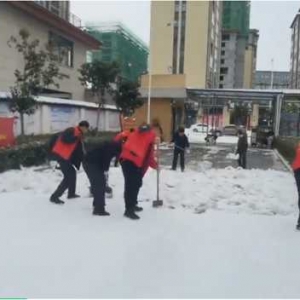 正阳县第十四小学清冰除雪保平安