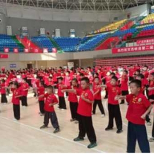 西峡县：深化体教融合为未成年人健康成长保驾护航