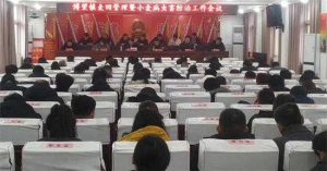 方城县博望镇 ： 防治技术“空中传” 防病治虫不作难