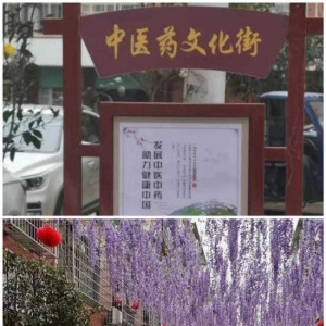 【营商环境】淅川县商圣街道卫生院“中医适宜技术体验馆”中医药文化街正式揭牌