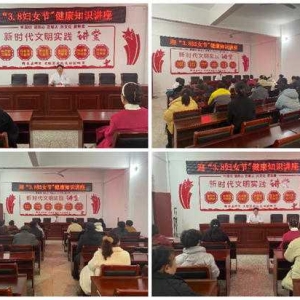 【营商环境】淅川县商圣街道卫生院迎“三八”妇女节开展女性健康知识讲座活动