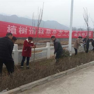 西峡县桑坪镇： 开展春季义务植树 建设美丽家园