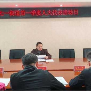 南阳市卧龙区七一街道开展2024年第一季度人大代表活动日