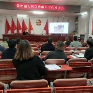 桐柏县黄岗镇：“暗访督查”促人居环境整治再提升