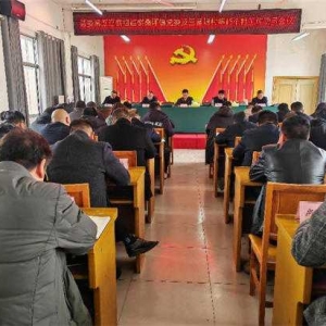 西峡县委第五巡察组巡察桑坪镇党委及玉皇岈村等15个村工作启动
