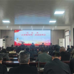镇平县马庄乡：贴心服务企业 唱响乡域经济高质量发展奋进曲