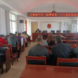 桐柏县毛集镇：严防“割青毁麦”行为 筑牢粮食安全防线