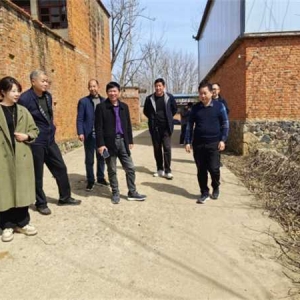 桐柏县毛集镇：观摩评比找差距 人居环境再提升