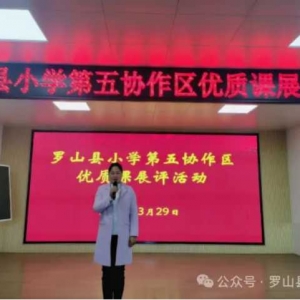 群英荟萃赛优课 三尺讲台展风采——罗山县小学第五协作区2024年优质课展评活动在罗山县南街小学成功举办