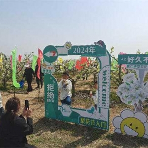 方城县博望镇: 推动乡村产业全链条升级