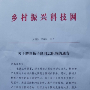 关于解除杨子良同志职务的通告