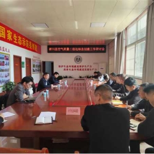 南阳市生态环境局淅川分局召开淅川县空气质量二级达标县创建工作研讨会