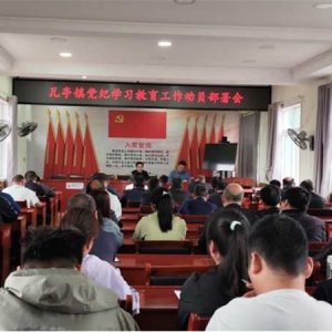 内乡县瓦亭镇召开党纪学习教育工作动员部署会