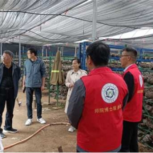 南阳市卧龙区科学技术局：将科技服务“及时雨”送到田间地头