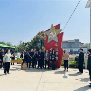 内乡县瓦亭镇开展2024年第一季度“逐村观摩 整乡推进”观摩活动