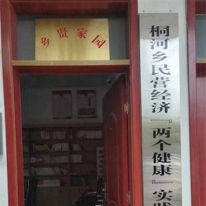 唐河县桐河乡：“两个健康”赋能优化营商环境建设