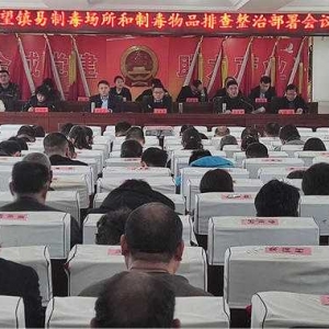方城县博望镇：     全面开展“禁种铲毒”排查整治专项行动