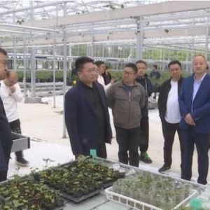 上蔡县国家农村产业融合发展示范园 建电商基地赋能乡村振兴