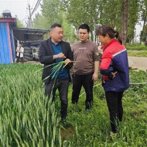 方城县博望镇： 结合春播特点  重抓技术培训