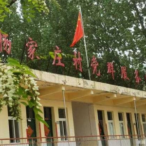方城县拐河镇：杨家庄村槐花节 促进乡村振兴