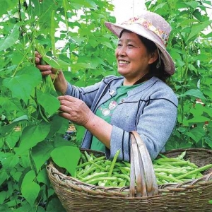 因地制宜发展特色经济