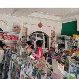 唐河县东王集乡：开展辖区书店“扫黄打非”行动 净化文化市场